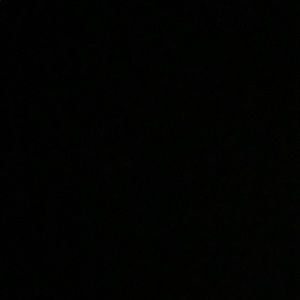 Meet your Posher, Ella